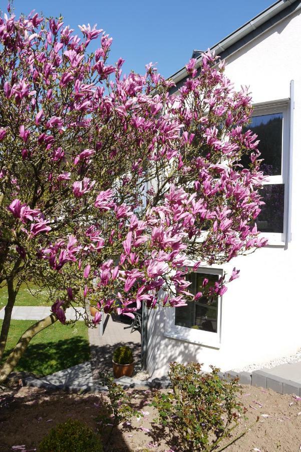 Ferienwohnung "Magnolia" Kordel المظهر الخارجي الصورة